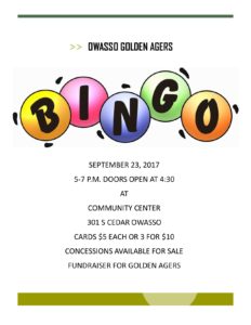 Bingo Fundraiser Flyer